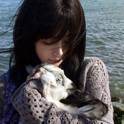 冒险家:宝盒的诅咒